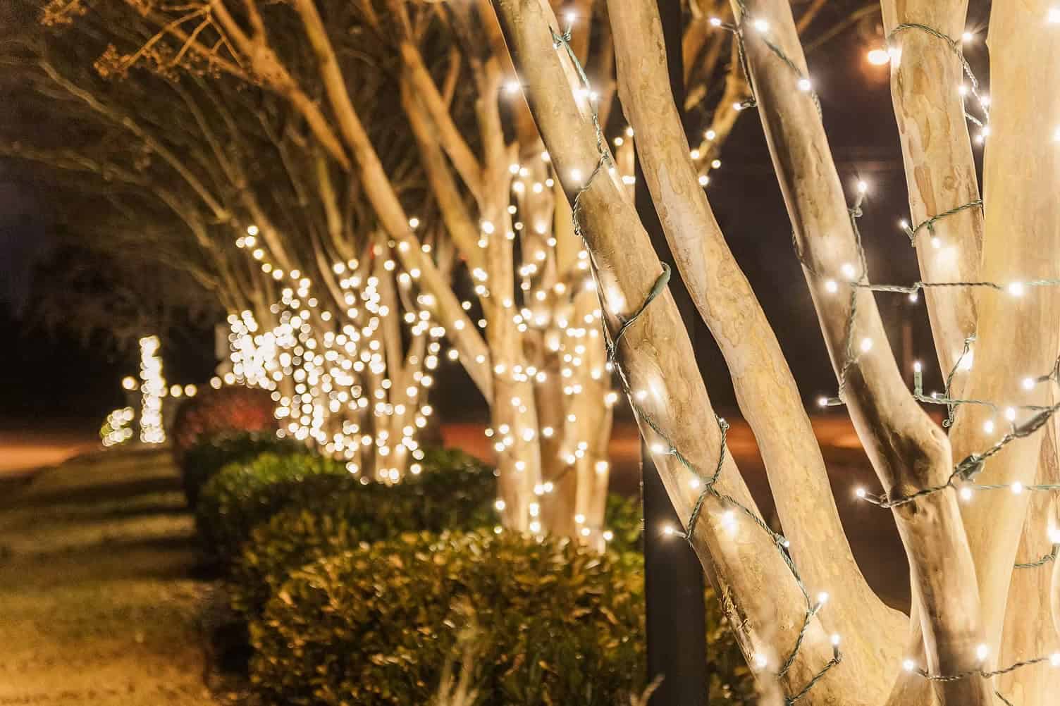 christmas lights installation rogers